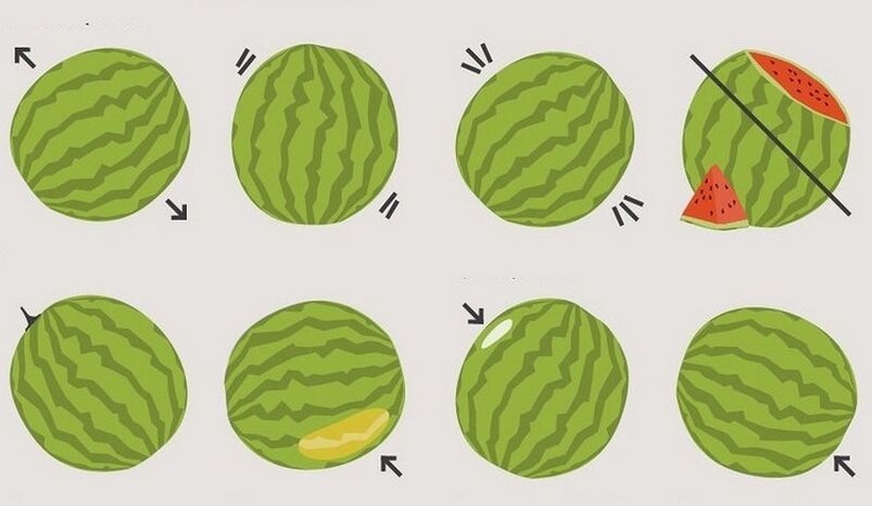 كيفية اختيار البطيخ